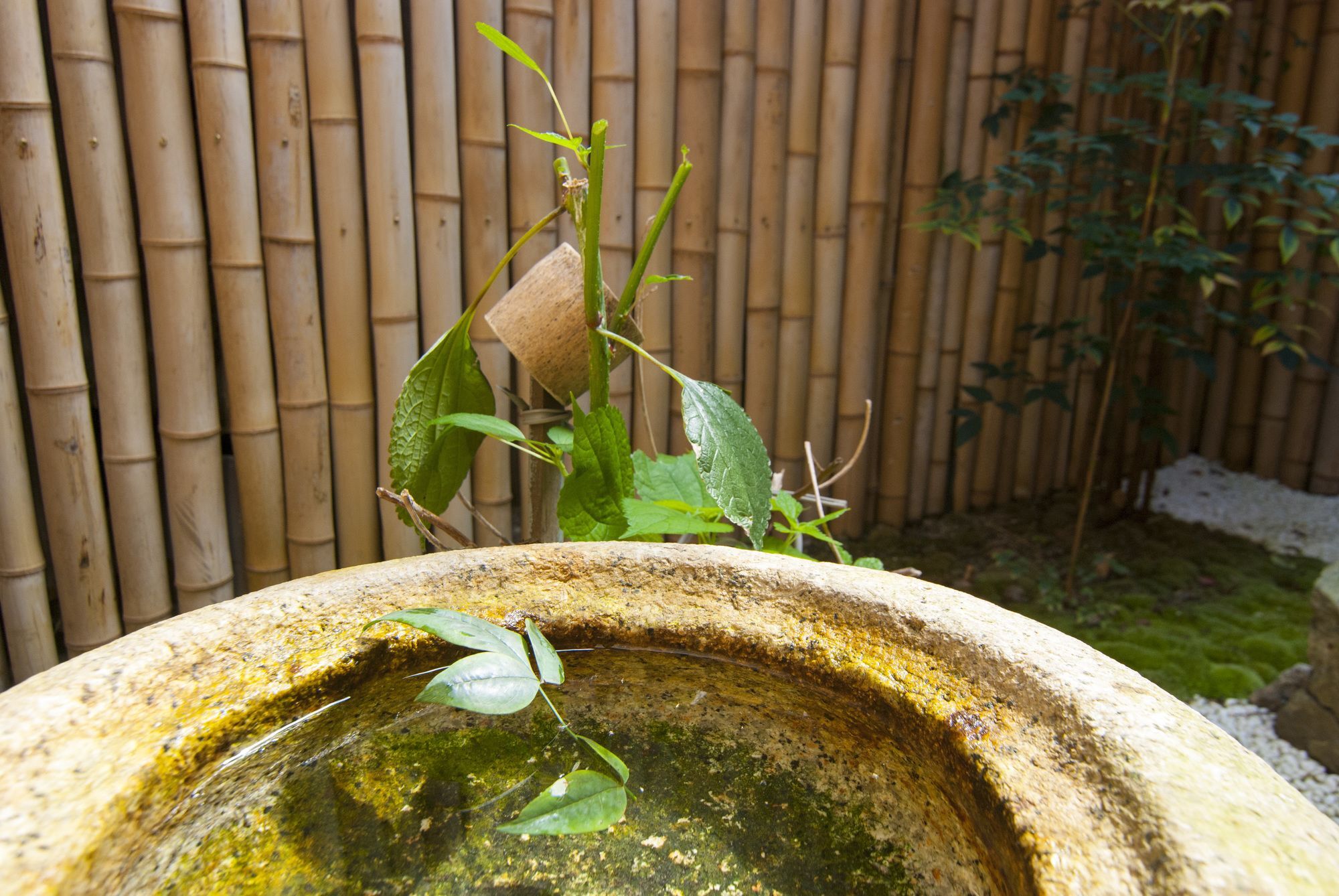 Kyo No Yado Bamboo Town Villa Kyoto Buitenkant foto